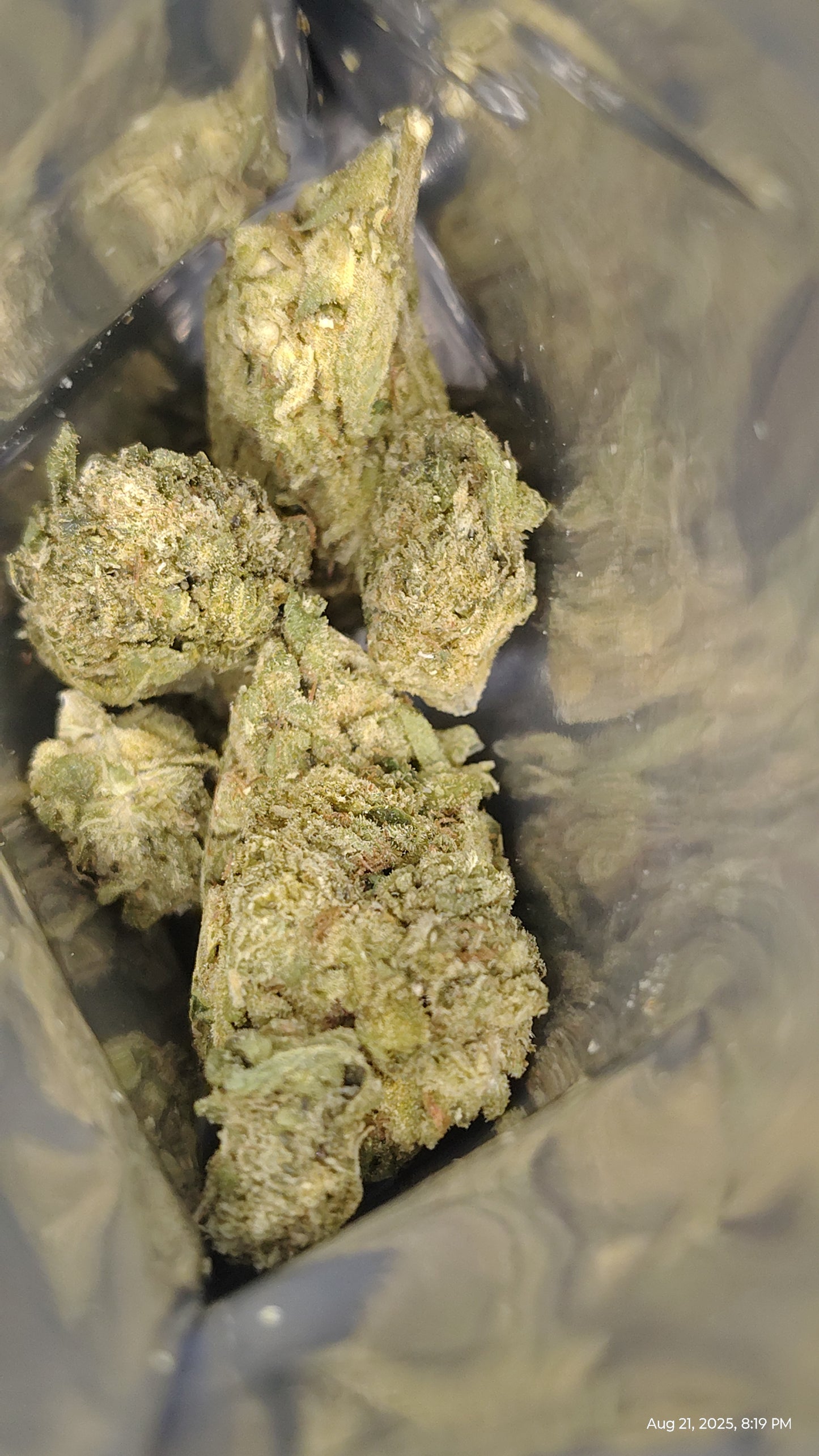 Best Value Greenhouse Flower: Affordable Fire, Grown Right (Runtz OG)