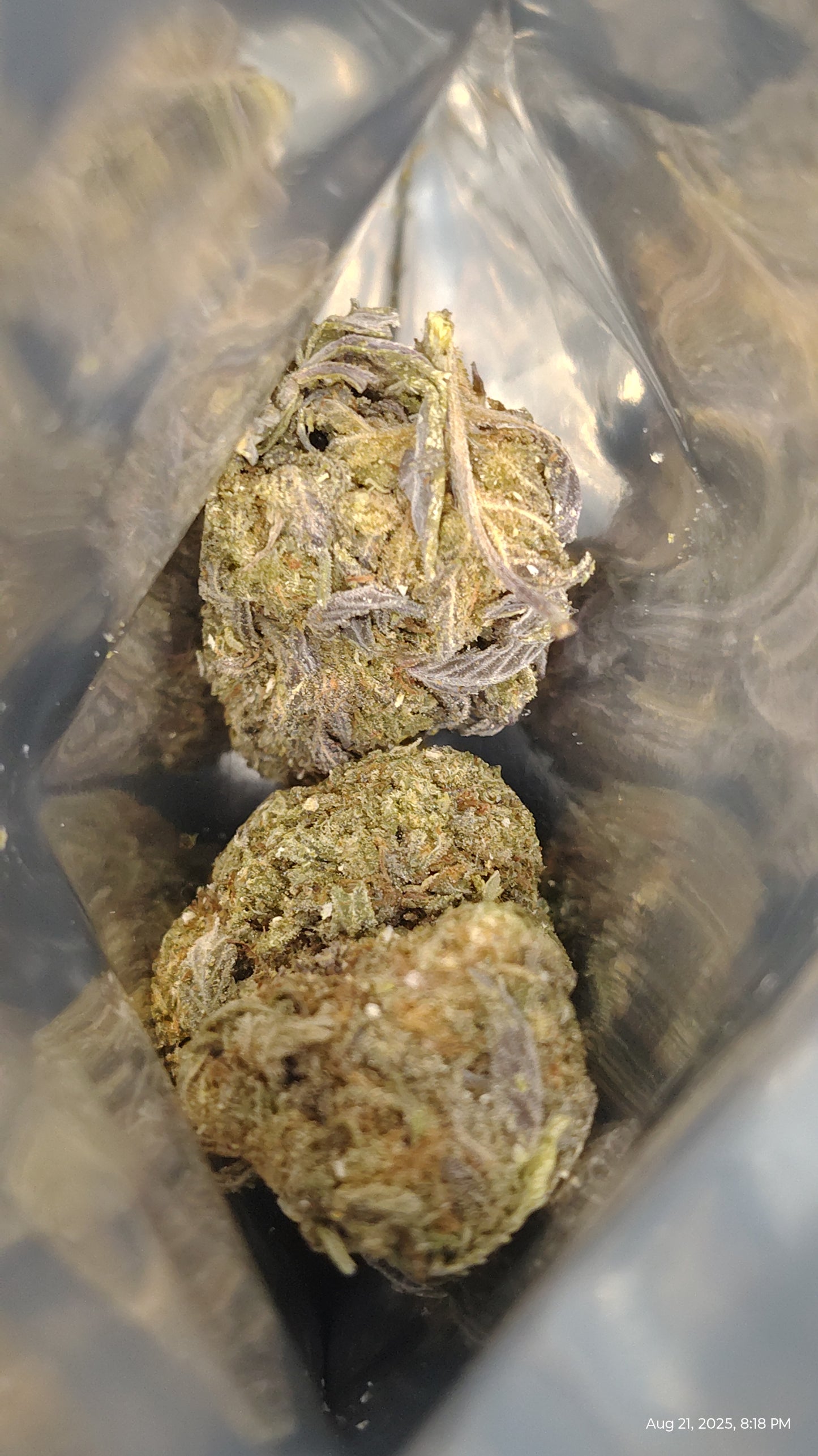 Best Value Greenhouse Flower: Affordable Fire, Grown Right (Candy Gas)