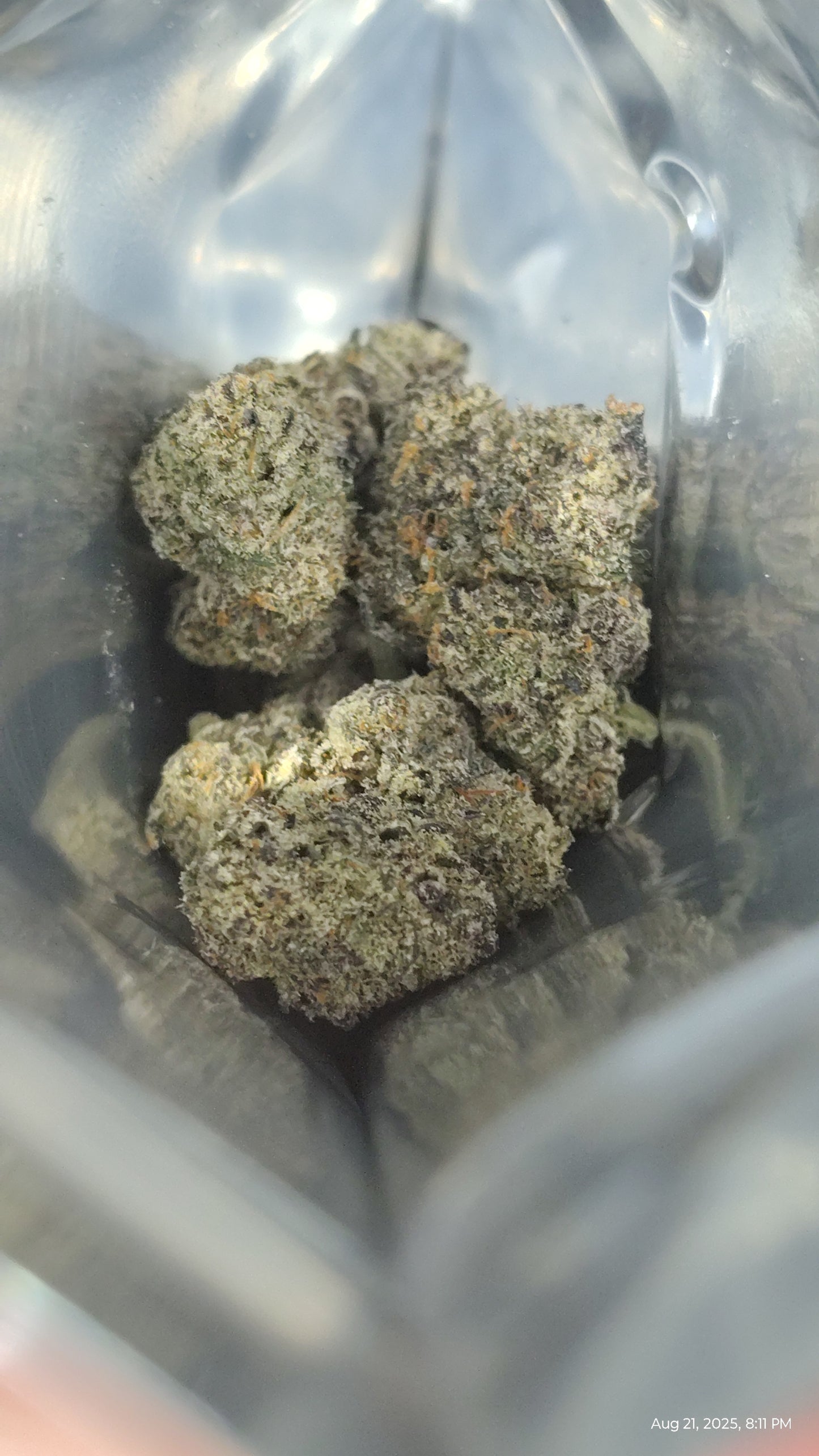 Exotic Flower : Rare Genetics, Unforgettable Flavor (Chimera)