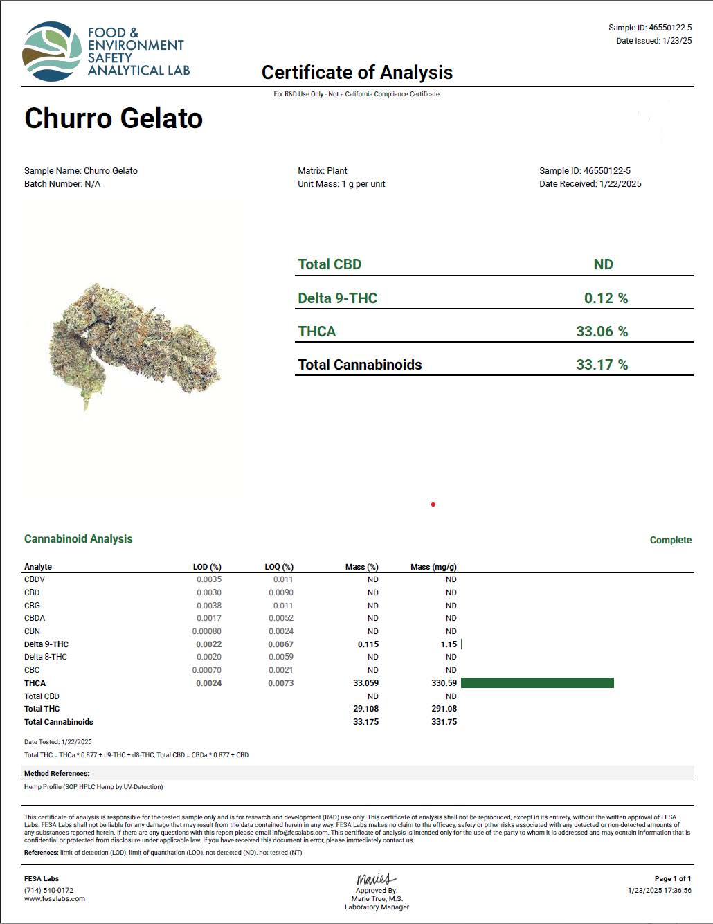 Exotic Flower : Rare Genetics, Unforgettable Flavor (Churro Gelato)