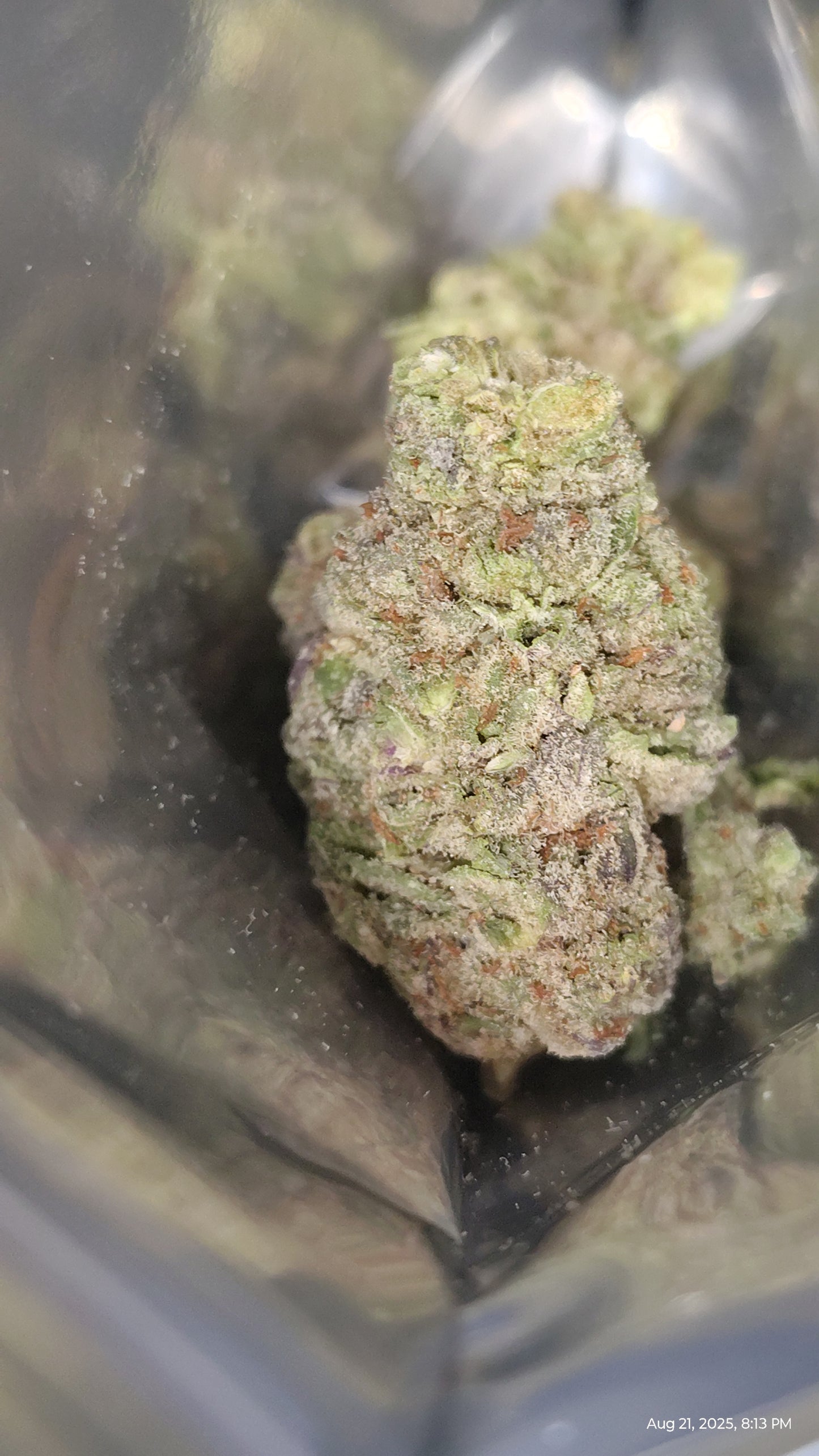 Exotic Flower : Rare Genetics, Unforgettable Flavor (Pinnacle)